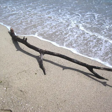 Nadejda * וארנה